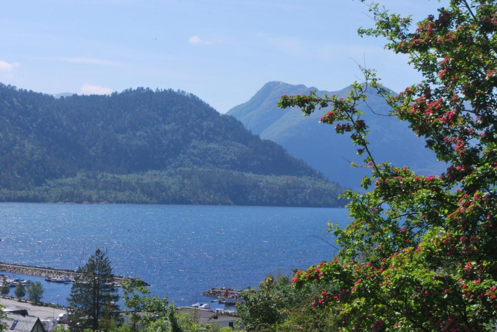 Sjoholt Camping Exteriör bild