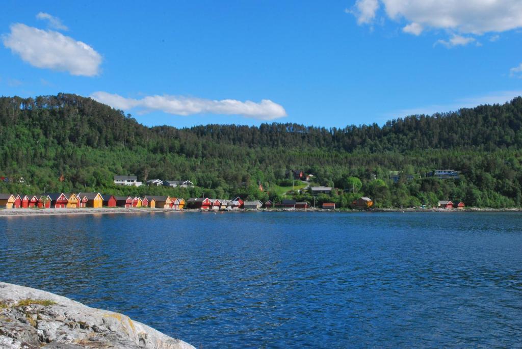 Sjoholt Camping Exteriör bild