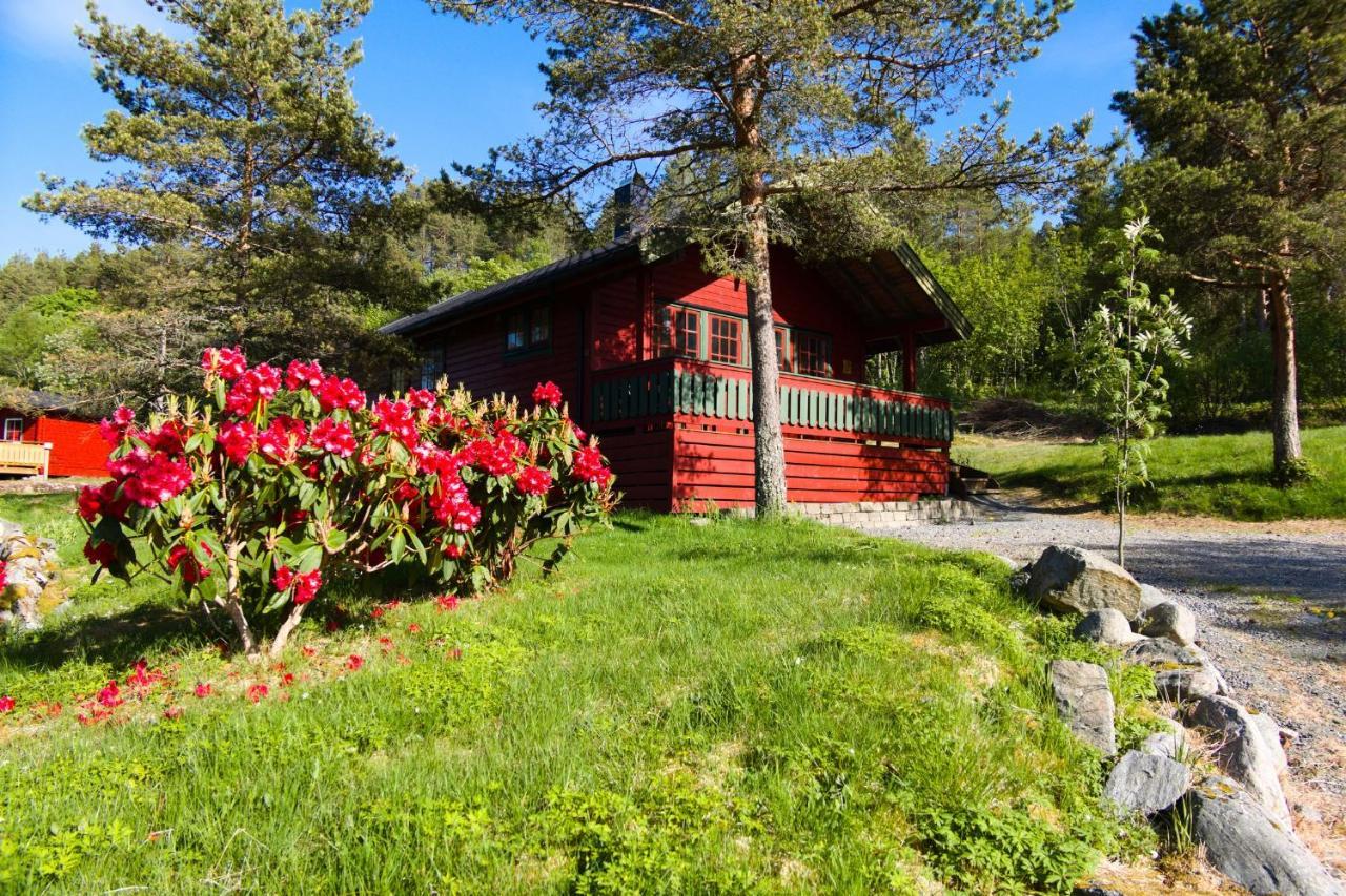Sjoholt Camping Exteriör bild